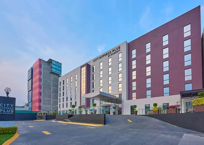 Pets Allowed Hotel City Express Plus By Marriott Ciudad De Mexico Periferico Sur Tlalpan